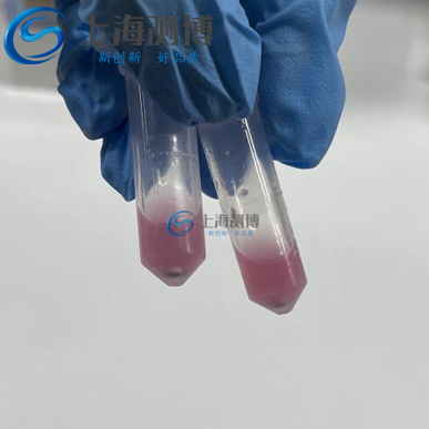 冷凍研磨儀助力動物睪丸組織蛋白、DNA 及 RNA 高效提取實驗案例