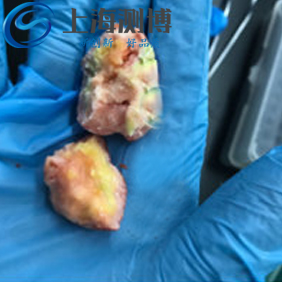 實(shí)驗(yàn)人員在研磨番茄時(shí)采用冷凍研磨儀效果如何？能成功嗎？