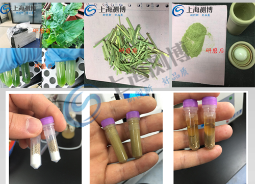CBFSTPRP-96 實驗案例展示圖