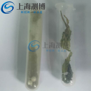 梅菜干研磨實(shí)驗結(jié)果